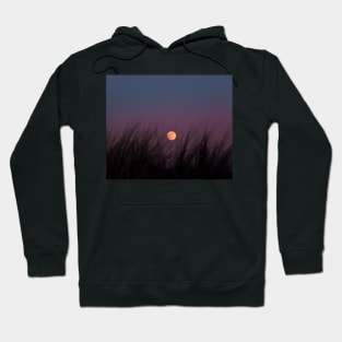 Moon through wild grass Hoodie